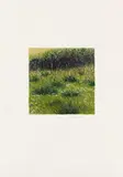 Karin Kneffel, Untitled