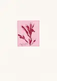 Thomas Schütte, 5 Radierungen, 2001, 5 colour drypoint etchings on cardboard
