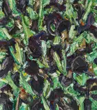 Ralph Fleck, Feldstück 12/III IRIS, 1995, Oil on canvas