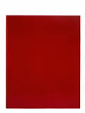 Joseph Marioni, Red Painting