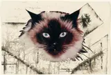 Hannah Höch, Perser