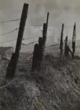 Near Essen by Albert Renger-Patzsch, 1929, Vintage gelatin silver print on Agfa-Brovira paper, sold Jun 2016
