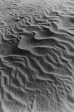 Alfred Ehrhardt, Wind formt feine Wellen in den Sand (from the series: Kurische Nehrung)