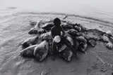 Robert Lebeck, Der Strand von Cayar, Senegal