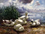Ducks at the Shore by Alexander Koester, Oil on canvas (relined), sold May 2016