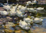 Ducks on the Water by Alexander Koester, Oil on canvas, sold May 2016