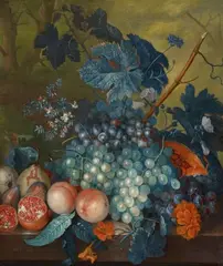 Jacob van Huysum, Fruit Still Life with Grapes, Peaches, Pears and Pomegranates, Oil on canvas (relined)