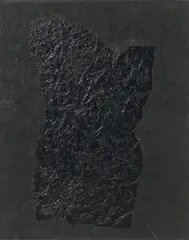 Untitled. Ink and plant materials on rice paper mounted on wooden panel. Signed to the reverse Yang Jiechang and in Chinese Jiechang and dated 1995., Untitled. Ink and plant materials on rice paper mounted on wooden panel. Signed to the reverse Yang Jiechang and in Chinese Jiechang and dated 1995., Untitled. Ink and plant materials on rice paper mounted on wooden panel. Signed to the reverse Yang Jiechang and in Chinese Jiechang and dated