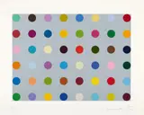 Histidyl by Damien Hirst, 2008, Colour silkscreen on cardboard, sold Nov 2015
