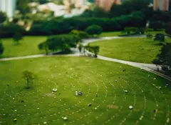 Miklos Gaál, Cemetery visit, 2006, Chromogenic print, flush-mounted to aluminium