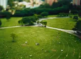 Miklos Gaál, Cemetery visit, 2006, Chromogenic print, flush-mounted to aluminium
