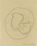 Maria Lassnig, Grossmutter und Grossvater als Embrio, 1987, Oil crayon on primed paper