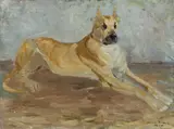 Otto Dill, Dogge
