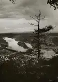 August Sander, Lärche auf der Wolkenburg