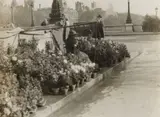 Germaine Krull, Quai aux fleurs, Paris