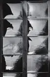 Toni Schneiders, Spiegelnde Scheiben (Reflecting panes)