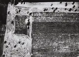 Mario Giacomelli, Untitled (from the series: Presa di Coscienza sulla Natura)