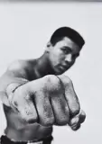 Thomas Hoepker, Muhammed Ali's fist