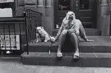Elliott Erwitt, New York City
