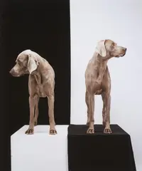 Game Board by William Wegman, 2003, Pigment print, sold Nov 2015