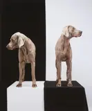 William Wegman, Game Board