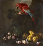 Angelo Maria Rossi, Still Life with a Parrot, Peaches, and Figs in a Landscape Still Life with a Parrot, Plums, Figs, and Quinces in a Landscape, Oil on canvas (relined). Each