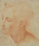Bolognese School 17th century, Head of a Young Woman, Red chalk on tinted paper