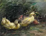 Alexander Koester, A Study of Ducks