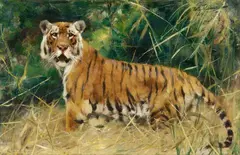 Tiger by Wilhelm Kuhnert, Oil on panel, sold Nov 2015