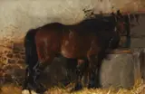 Wilhelm Kuhnert, Horse Feeding from a Trough