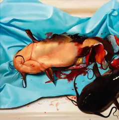 "Catfish" by David Nicholason, 2010, Öl auf Holz, sold Mar 2021