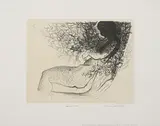 Marlene Dumas, "Dornrosie", 1989, Lithografie auf Zerkall-Velin