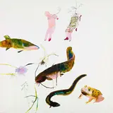 Basia Bańda, "Wodni ludzie" (Wassermenschen), 2011, Tinte auf Leinwand