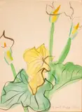 Raoul Dufy, Untitled, Lithograph in Colors on Wove Paper, "Colette"