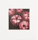 Donald Sultan, Untitled