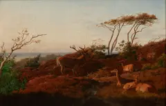 Carl Bøgh, Untitled, Oil on Canvas "Red Deer in an Autumn Landscape Near Meilgaard"