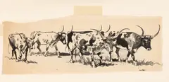 Untitled by Edward Borein, Ink And Pencil Sketches on Paper, "Texas Longhorns", 2 pcs, sold Nov 2024