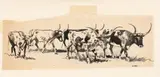 Edward Borein, Untitled, Ink And Pencil Sketches on Paper, "Texas Longhorns", 2 pcs