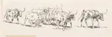 Edward Borein, Untitled, Ink And Pencil Sketch on Paper, "Herd of Texas Longhorns"