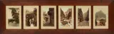 William Henry Jackson, Colorized, Albumen Prints