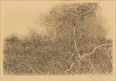 Etchings by Gabor Peterdi, on Paper, sold Nov 2024