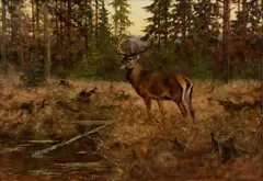 George Majewicz, Untitled, Oil on Canvas Stag at the River's Edge