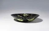 Roman Scheidl, Plate