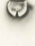 Untitled by Heinz Mack, 1966, black paint sprayed onto paper; framed, offered Jun 2026
