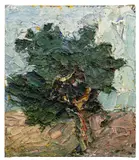 Franz Grabmayr, Baum