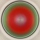 Robert Schaberl, Bright Red-Green Silvergrey, 2007, acrylic on canvas; unframed