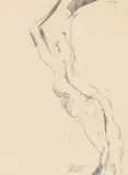 Günter Brus, Untitled, 1965, graphite on paper; framed