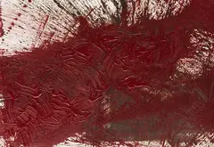 Hermann Nitsch, Schüttbild, 2010, Acrylic on canvas