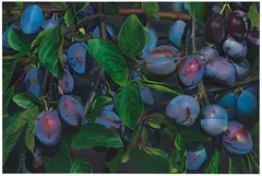 Karin Kneffel, Pflaumen, 1998, Oil on canvas