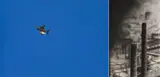 Jack Goldstein, Untitled, 1980, Acrylic on canvas. Diptych